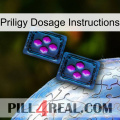 Priligy Dosage Instructions 03